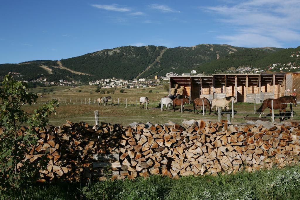 Gite Equisud - Demi-Pension Inclus Лез-Англь Экстерьер фото