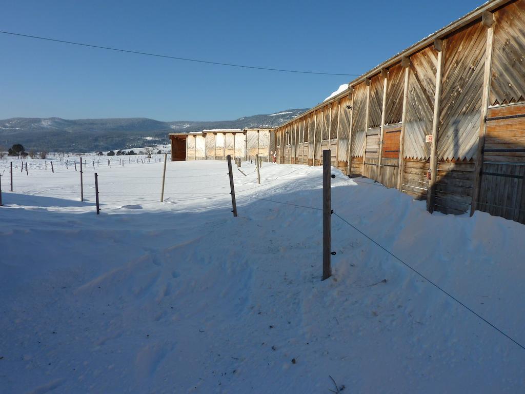 Gite Equisud - Demi-Pension Inclus Лез-Англь Экстерьер фото